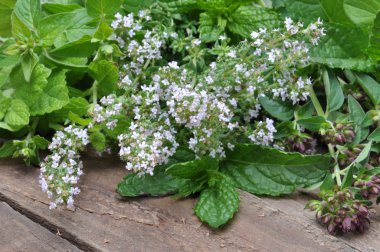Eski ahşap masa üzerinde taze yeşil otlar