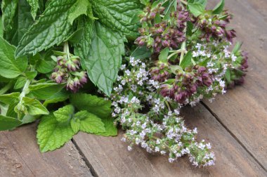Eski ahşap masa üzerinde taze yeşil otlar