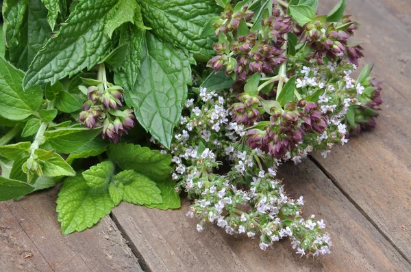 Eski ahşap masa üzerinde taze yeşil otlar