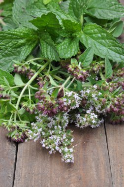 Eski ahşap masa üzerinde taze yeşil otlar