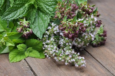 Eski ahşap masa üzerinde taze yeşil otlar