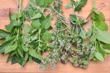 Eski ahşap masa üzerinde taze yeşil otlar