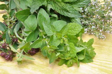 Eski ahşap masa üzerinde taze yeşil otlar