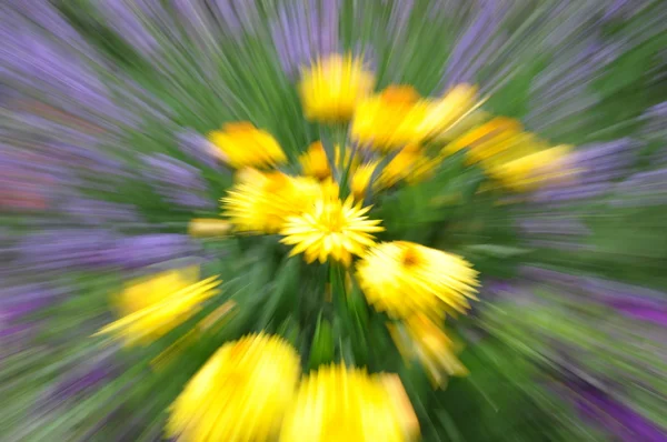 Fragola gialla astratta in giardino con movimento sfocato — Foto Stock