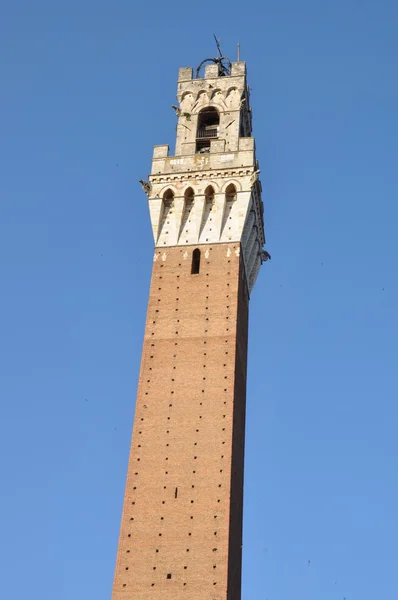 Torre del Mangia tower, Siena, Tuscany — Stock Photo, Image