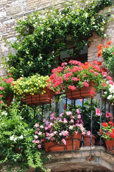 Stone wall with balcony and colorful flowers — Stock Photo, Image