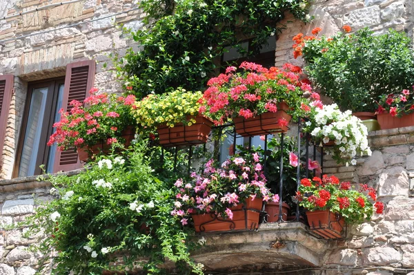 Pared de piedra con balcón y flores de colores —  Fotos de Stock