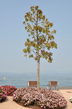 Göl kıyısı Bardolino şehir, Lago di Garda