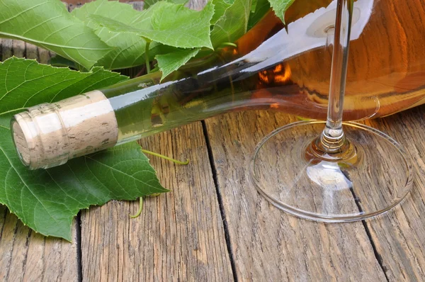 Bicchiere di vino e bottiglia con ramoscello di vino verde — Foto Stock