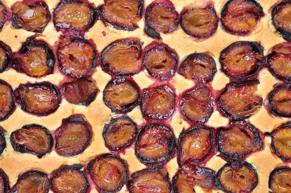 Freshly baked plum cake, top view — Stock Photo, Image
