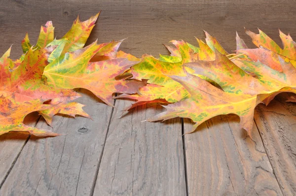 Feuilles colorées sur fond en bois — Photo