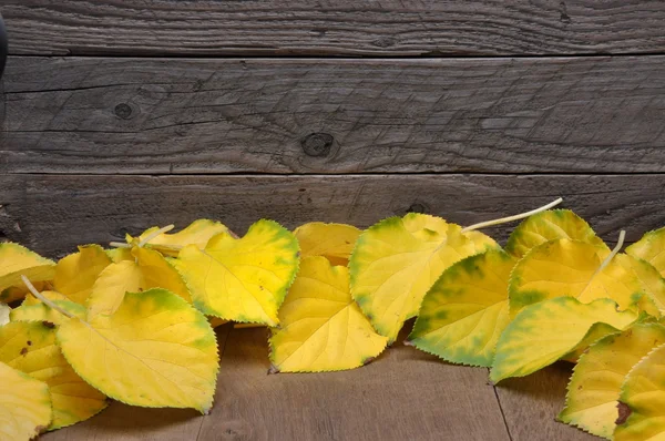 Yellow leaves on wooden background with space for text — Stock Photo, Image