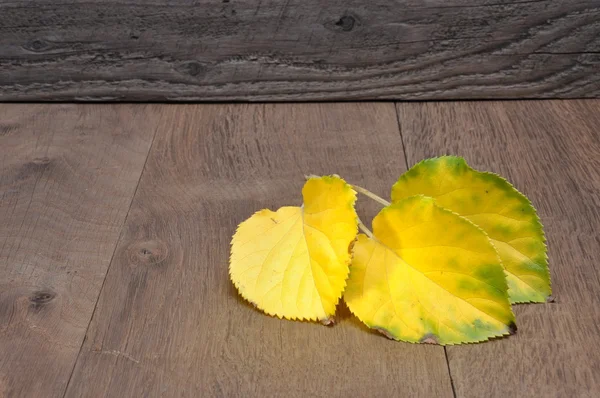 Yellow leaves on wooden background with space for text — Stock Photo, Image