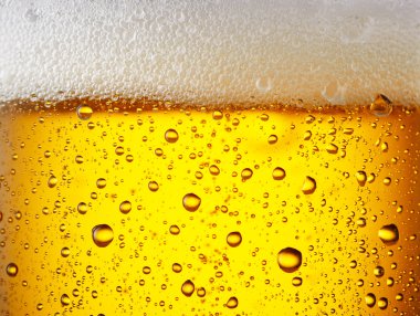 Close up drops of a Ice Cold Pint of Bee