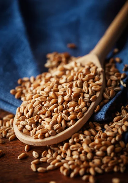 Деревянная ложка с цельным зерном пшеницы — стоковое фото