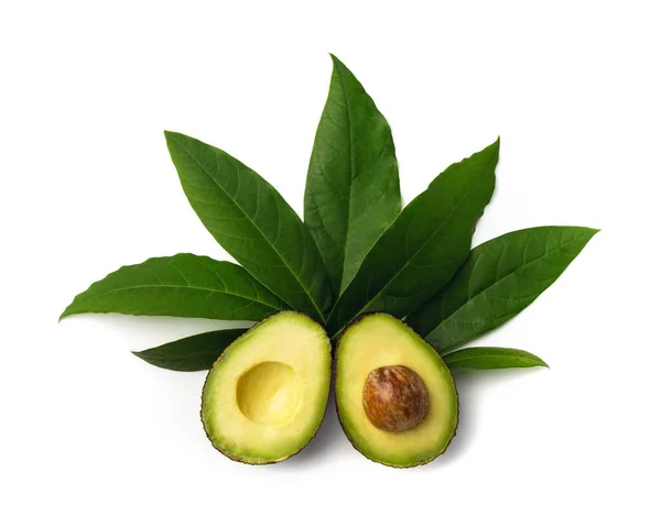 Aguacate Con Hoja Aislado Blanco — Foto de Stock