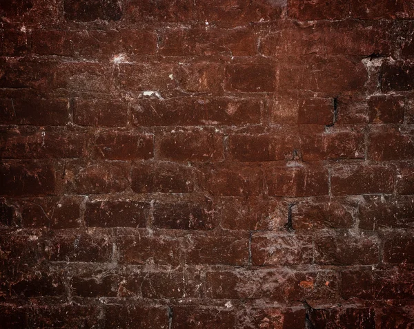 Brick wall texture — Stock Photo, Image