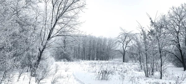 Schöne Winterlandschaft — Stockfoto