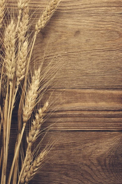 Пшеница на деревянном фоне — стоковое фото