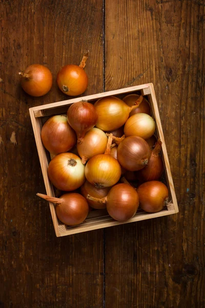 Onions  on wood crate — Stock Photo, Image