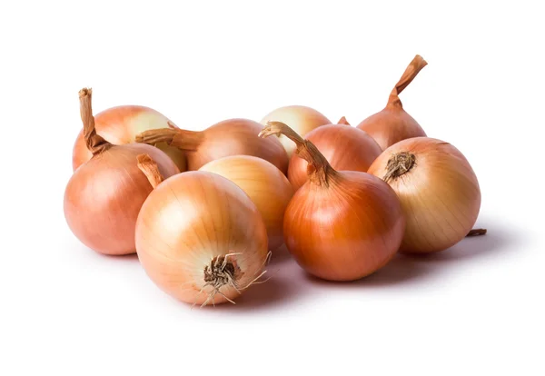 Onions vegetables on  background — Stock Photo, Image