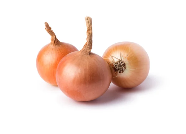 Onions vegetables on  background — Stock Photo, Image