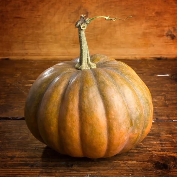Pumpkin on wooden board — Stock Photo, Image