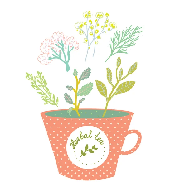 Herbal tea cup - retro style  illustration — Stock Vector