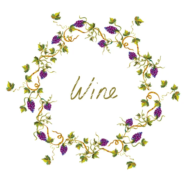 Wine label or background with vines and grape -  illlustration — Stock Vector