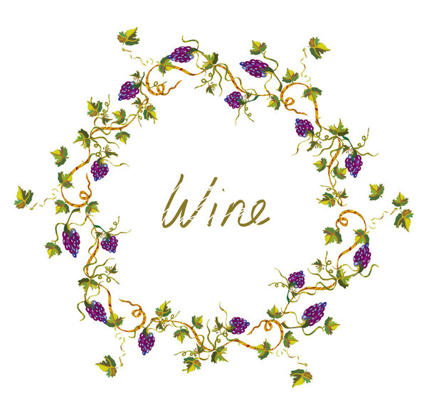 Wine label or background with vines and grape -  illlustration