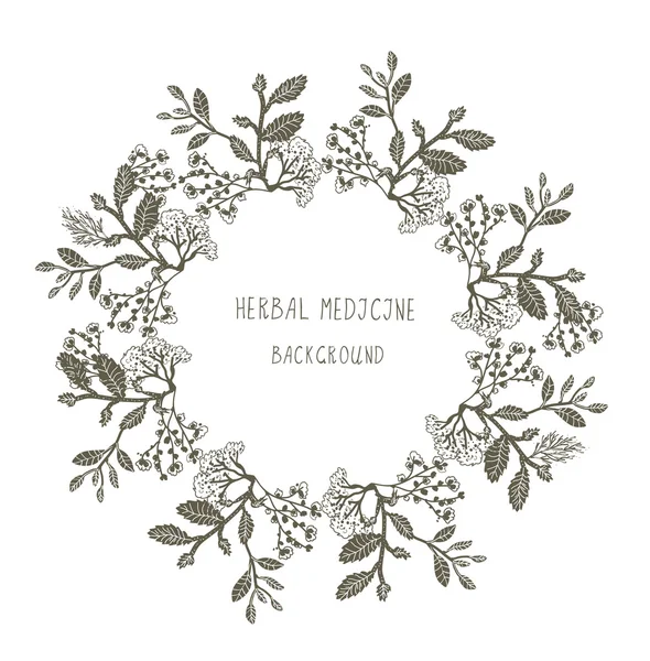 Herbal medicine label or frame, sketchy design with plants. — Stock Vector