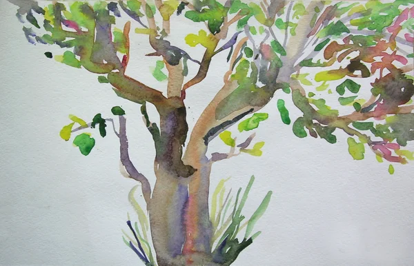 Watercolor tree on the horizontal background — Stock Photo, Image