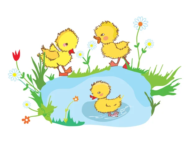 Patos engraçados na lagoa e flores —  Vetores de Stock