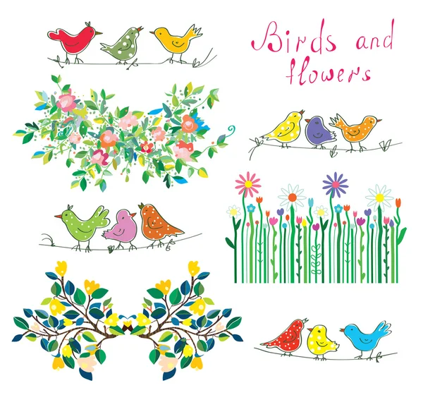 Florale Gestaltungselemente und Vögel — Stockvektor