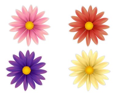 Dizi güzel renkli çiçekler. 