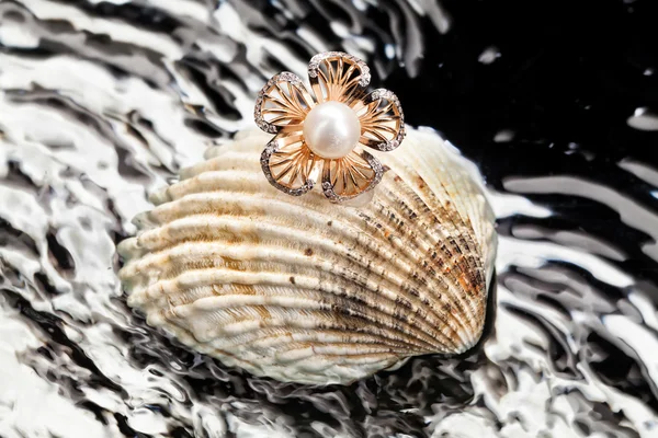 Ring a Shell — Stock fotografie