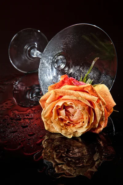 Rose und Glas — Stockfoto