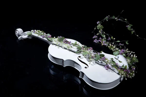 Скрипка и цветы — стоковое фото