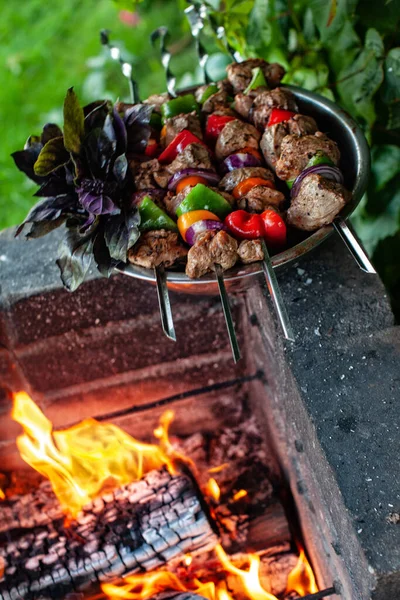 Preparación Comida Tradicional Asiática — Foto de Stock