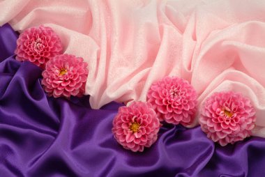 Stüdyoda çiçek ve aksesuarlarla dolu bir hayat.