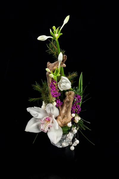 Zole Edilmiş Arkaplanda Çiçeklerin Bileşimi — Stok fotoğraf