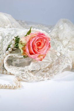 Stüdyoda çiçek ve aksesuarlarla dolu bir hayat.