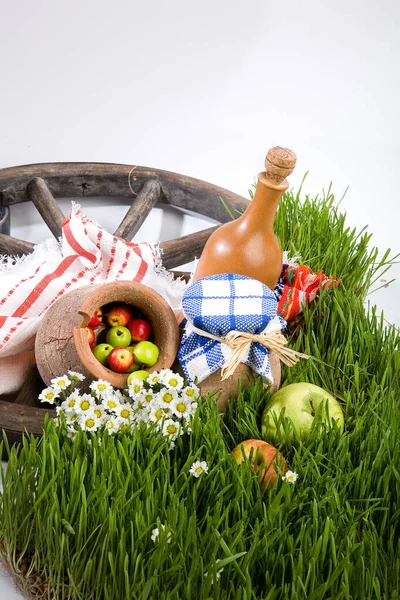 Stillleben Mit Keramikflasche Und Früchten Auf Grünem Gras — Stockfoto