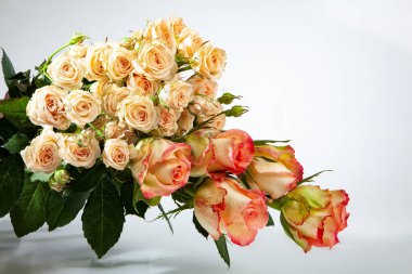 Stüdyoda çiçek ve aksesuarlarla dolu bir hayat.