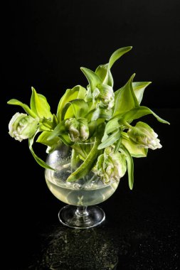 Stüdyoda çiçeklerle dolu bir hayat