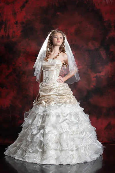 Ung Vacker Kvinna Bröllopsklänning Studio Bakgrund — Stockfoto