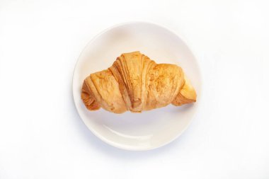 Ayçöreği izole edilmiş bir stüdyo arka planında.