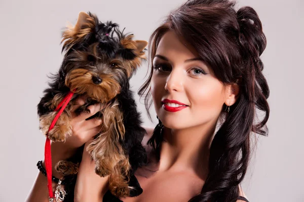 Young Woman With A Little Dog — Stock Photo, Image