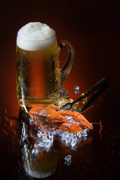 Beer And Crawfish — Stock Image Beer And Crawfish Stock Photo
