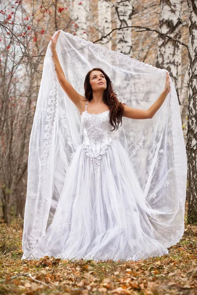Young Bride In A Forest — Stock Photo, Image